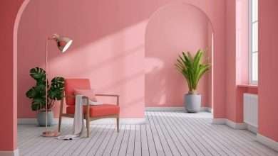 Distemper Colour: Facts You Should Know Before Painting Your Walls