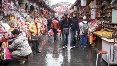 Navigating the Translation Landscape in the Chinese Market