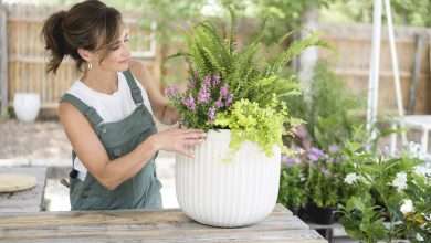 Top Trends In Garden Containers: What's Popular In 2025?