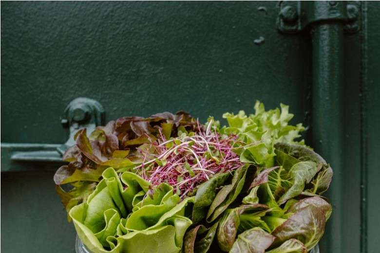 Simple Ways to Add More Greens to Your Diet