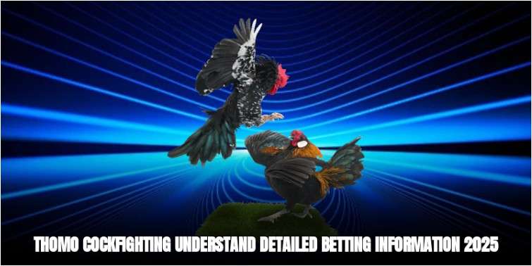 Thomo Cockfighting - Understand Detailed Betting Information 2025
