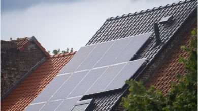 Sustainable Real Estate Investments: Balancing Profit and Environmental Impact