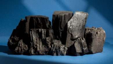 Unveil Natural Treasure of Rajasthan: Stunning Black Granite Collections