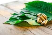 Kratom Withdrawal: 7 Steps for Easing Symptoms and Promoting Healing