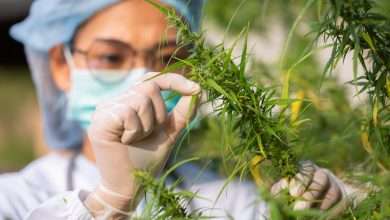 How CPAs Help Dispensaries Manage Payroll And Cash Flow
