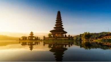 Top Reasons to Book Bali Tour Packages Through Flamingo Transworld