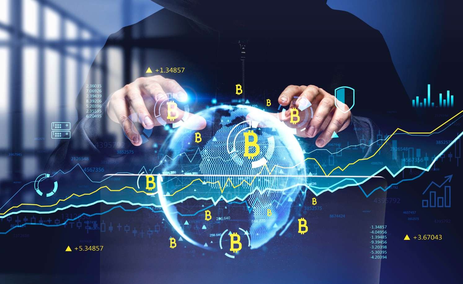 Lessons from Celebrities: How Strategy and Risk-Taking Shape Success in Finance and Crypto