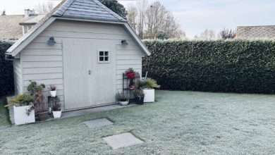 Why Garden Rooms Are the Hottest Home Improvement Trend