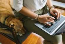 Educational Pathways for Aspiring Wildlife Professionals