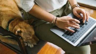 Educational Pathways for Aspiring Wildlife Professionals