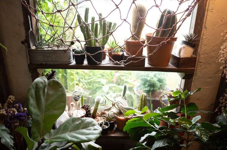 How to Build a Sustainable Home Garden Focused on Natural Wellness