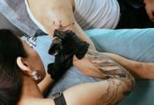 The Best Time of Year to Get a Tattoo in Thailand for Healing and Comfort