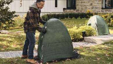 Winter Tree Protection Methods Supporting Healthier Growth across Cold Seasons