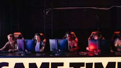 What Online Gaming Teaches About Digital Entertainment Behavior