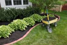 Why Consistent Lawn Care Is the Key to a Greener Landscape