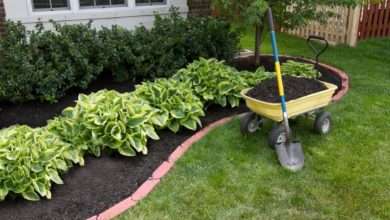 Why Consistent Lawn Care Is the Key to a Greener Landscape