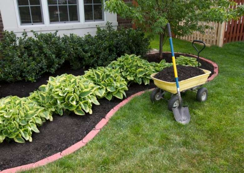 Why Consistent Lawn Care Is the Key to a Greener Landscape